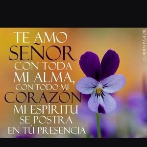 Meet your Posher, Isabel